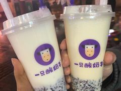 -一只酸奶牛(八一路店)