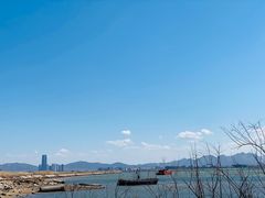 -养马岛旅游度假区