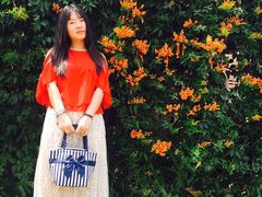 -黄色小屋