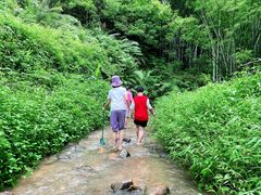 -田心森林公园