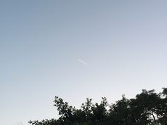 -大湾区中央湿地公园
