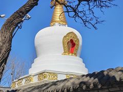 -护国法轮寺
