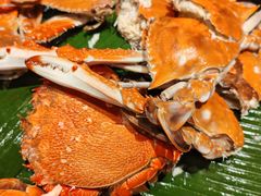 -永泰福朋喜来登酒店-宜客乐自助餐厅(远大路店)