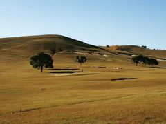 -塞罕坝国家级自然保护区