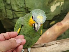 -昆明动物园