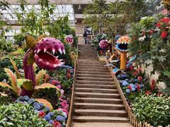 -沈阳植物园