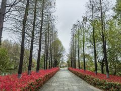 -苏州太湖国家湿地公园