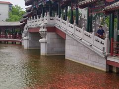 -西海子公园