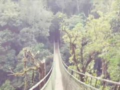 -云南屏边大围山国家公园