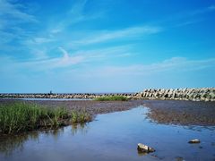 -南汇嘴观海公园