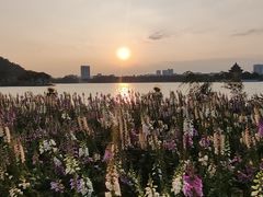 -顺峰山公园