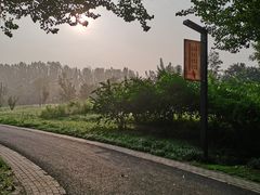 -东郊湿地公园