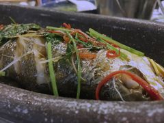 -渔娘渔家丹东海鲜(东直门店)