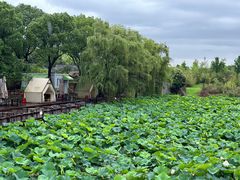 -重元寺香积厨素斋馆