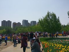 -长春公园(普阳街道)