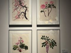 -四川大学博物馆