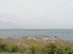 -养马岛旅游度假区