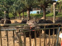 -泉州海丝野生动物世界