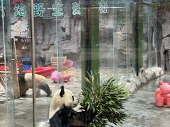 -栾川竹海野生动物园