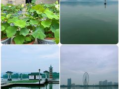 -无锡蠡湖国家湿地公园-蠡园