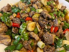 -龙翔山庄雷鸡肉(青城后山泰安古镇店)