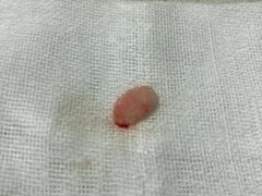 -瑞派宠物医院·24小时骨科·心脏·核磁(哈尔滨南岗店)