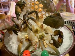 -尚海豆捞(乐虹坊店)