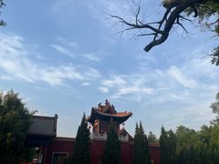 -大槐树寻根祭祖园