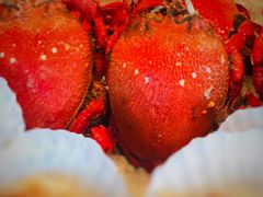 -万达文华酒店·48F云端窗景美食汇自助餐厅