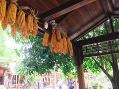 -青城甲(青城山店)