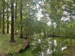 -银树楼(紫玉山庄东区店)