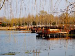-东郊湿地公园