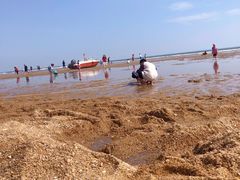 -前王院•巧克力海鲜市集餐厅(万平口店)