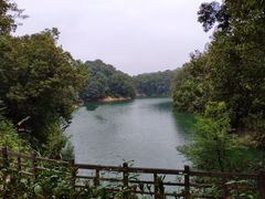 -广州市流溪河国家森林公园