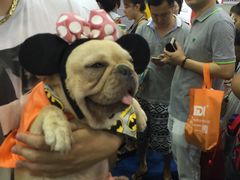 -东浩兰生上海世博展览馆