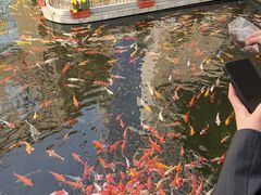 -番禺宾馆丽苑厅