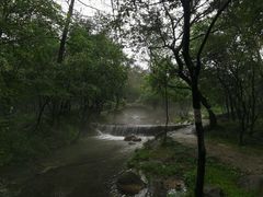 -玉渡山自然风景区