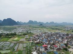 -会仙湿地