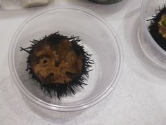 -海胆小馆(东北水饺·春柳店)