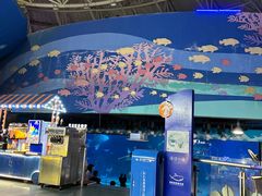 -烟台海昌鲸鲨海洋公园