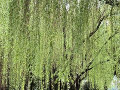 -橘洲1925湖湘餐厅