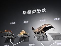-自贡恐龙博物馆