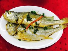 -蛇口康乐快餐鱼仔档(翠苑小区店)