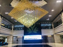 -上药医疗供应链管理（上海）有限公司