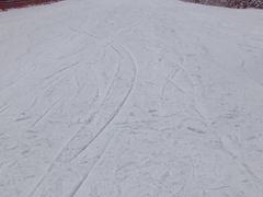 -静之湖湖畔餐厅