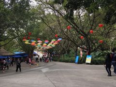 -深圳野生动物园