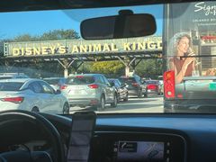 -奥兰多迪士尼动物王国乐园