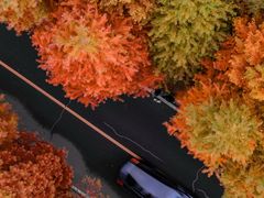 -南京市无想山景区