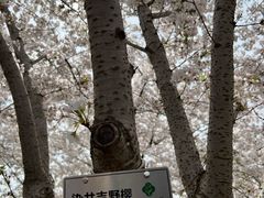 -苏州上方山国家森林公园