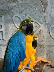 -Zoolung Zoolung动物主题公园(海信广场店)